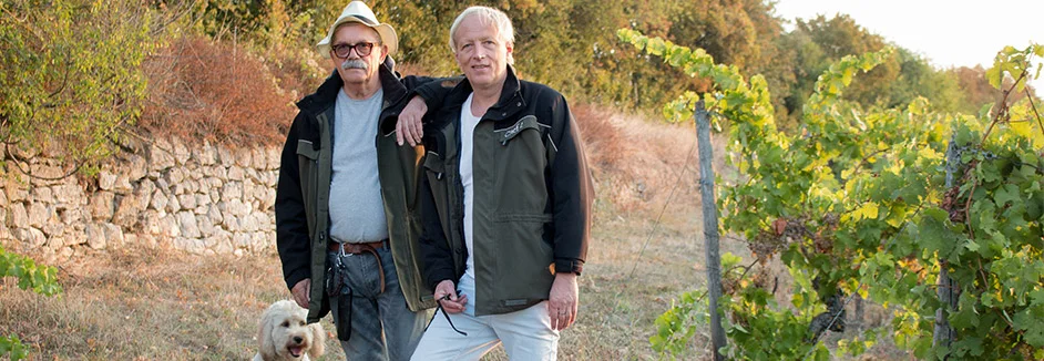 Zwei Personen mit Hund in Weinbergen